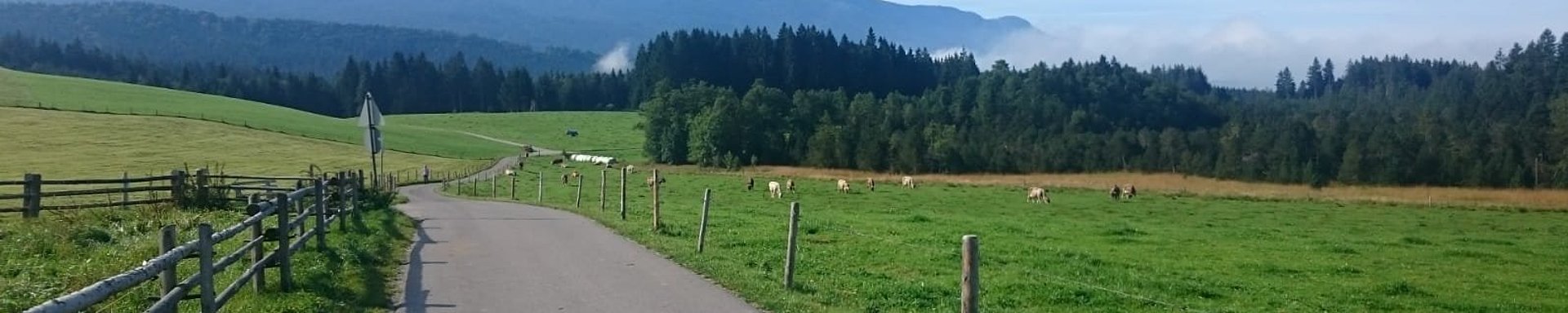 IMG-20190914-WA0005